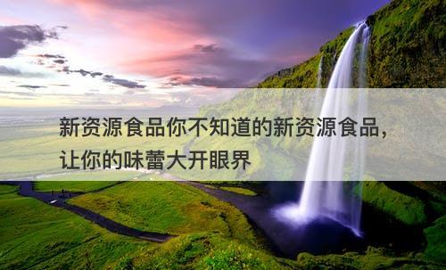 新资源食品你不知道的新资源食品，让你的味蕾大开眼界