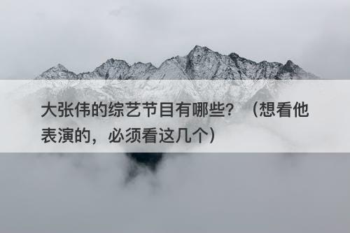 大张伟的综艺节目有哪些？（想看他表演的，必须看这几个）