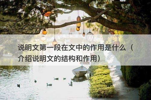 说明文第一段在文中的作用是什么（介绍说明文的结构和作用）-图1