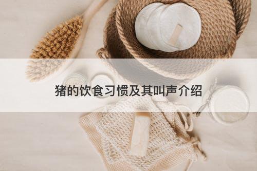 猪的饮食习惯及其叫声介绍