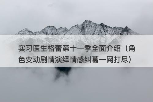 实习医生格蕾第十一季全面介绍（角色变动剧情演绎情感纠葛一网打尽）