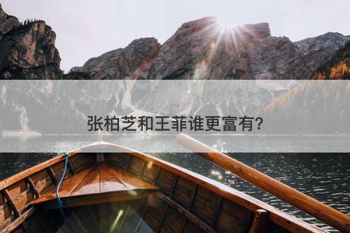 张柏芝和王菲谁更富有？-图1