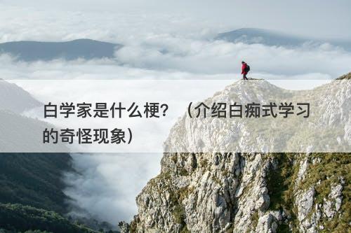 白学家是什么梗？（介绍白痴式学习的奇怪现象）