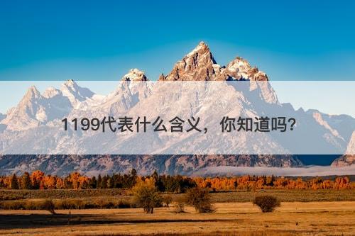 1199代表什么含义，你知道吗？