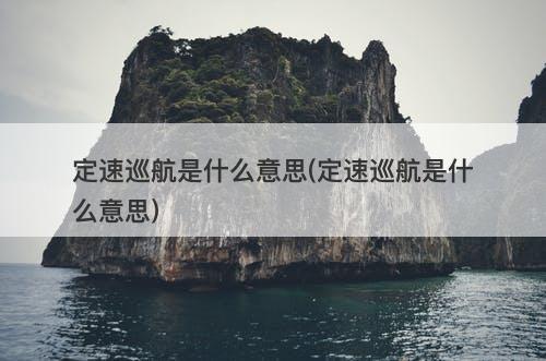 定速巡航是什么意思(定速巡航是什么意思)-图1