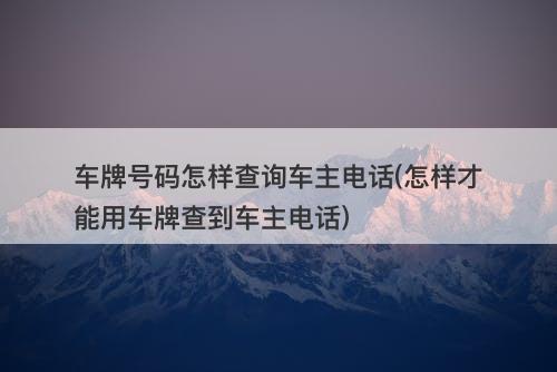 车牌号码怎样查询车主电话(怎样才能用车牌查到车主电话)-图1