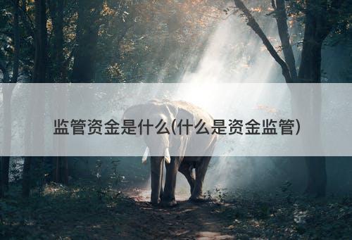监管资金是什么(什么是资金监管)