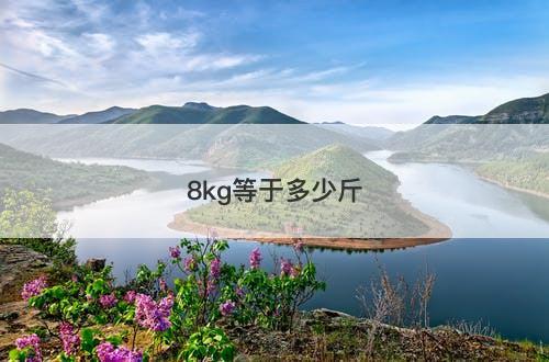 8kg等于多少斤
