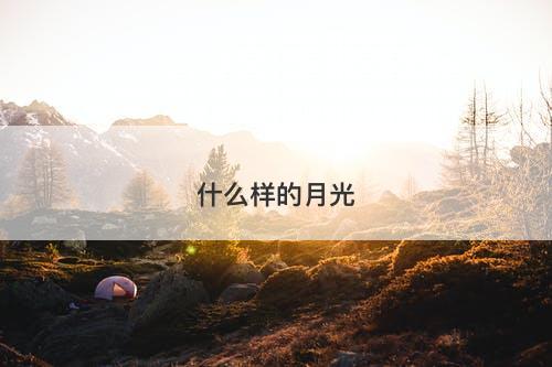 什么样的月光