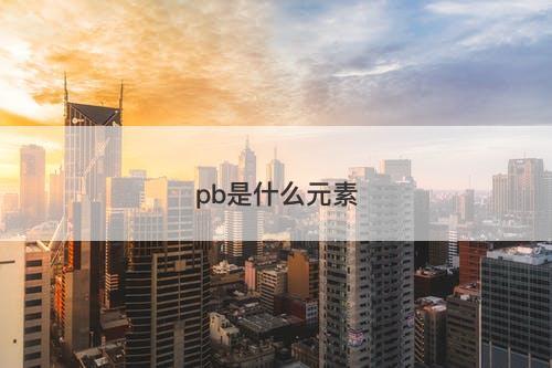 pb是什么元素
