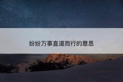 纷纷万事直道而行的意思