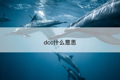 dcc什么意思