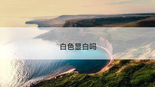 白色显白吗