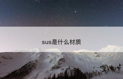 sus是什么材质