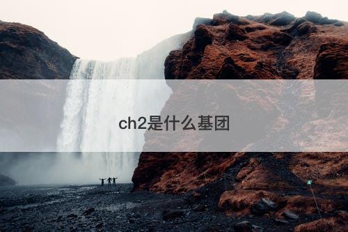 ch2是什么基团