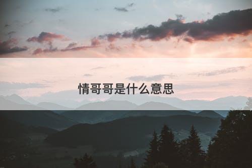 情哥哥是什么意思