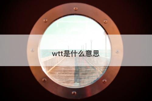 wtt是什么意思