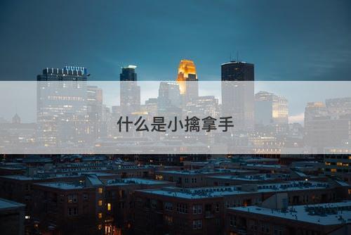 什么是小擒拿手