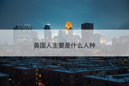 美国人主要是什么人种