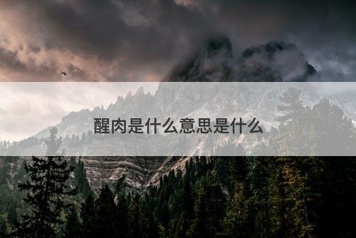 醒肉是什么意思是什么