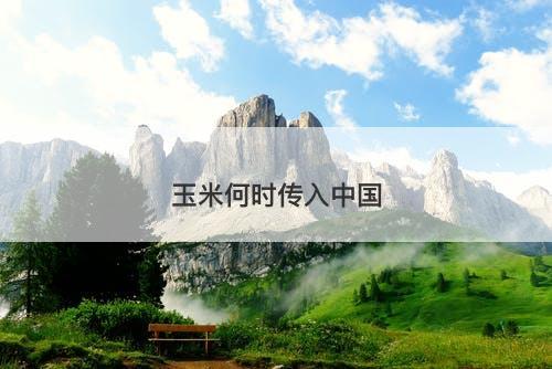 玉米何时传入中国