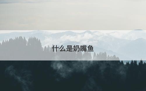 什么是奶嘴鱼