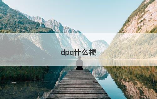 dpq什么梗