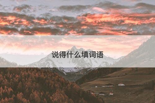 说得什么填词语
