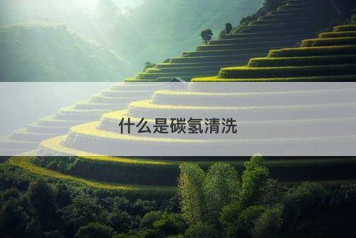 什么是碳氢清洗