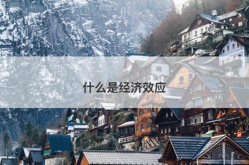 什么是经济效应