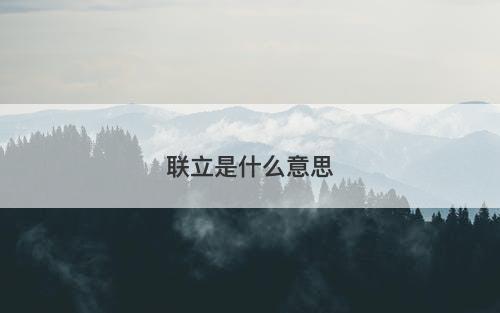 联立是什么意思
