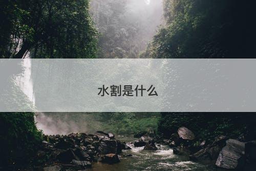 水割是什么