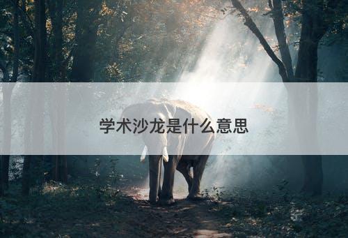 学术沙龙是什么意思