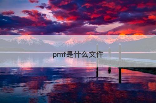 pmf是什么文件