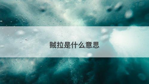 贼拉是什么意思