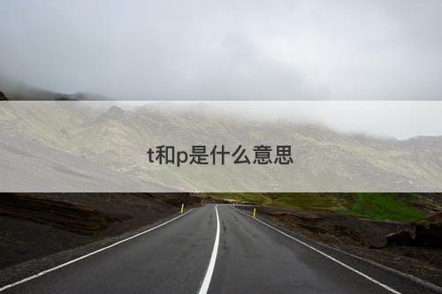 t和p是什么意思