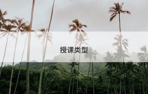 授课类型