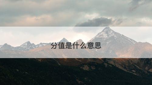 分值是什么意思