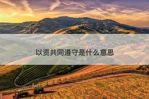 以资共同遵守是什么意思