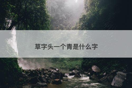 草字头一个青是什么字