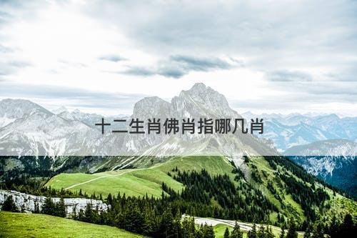 十二生肖佛肖指哪几肖