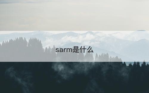 sarm是什么