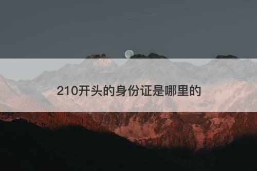 210开头的身份证是哪里的