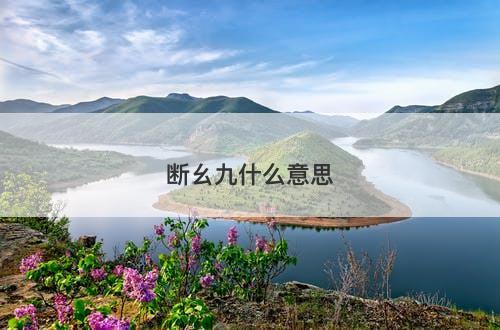 断幺九什么意思