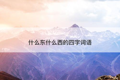 什么东什么西的四字词语