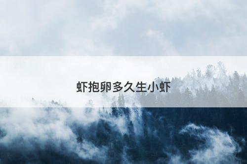 虾抱卵多久生小虾