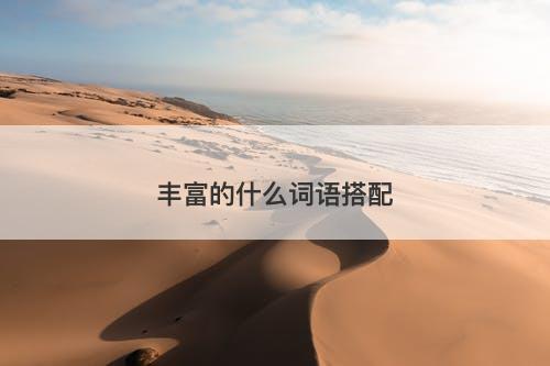 丰富的什么词语搭配