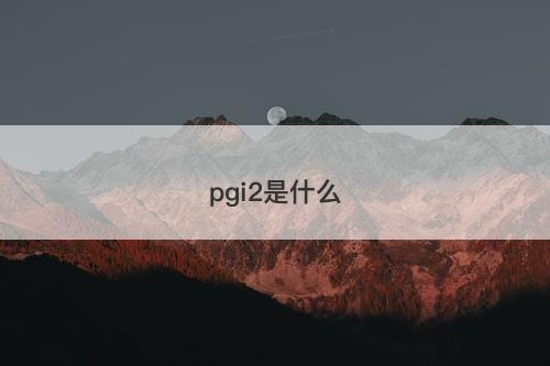 pgi2是什么