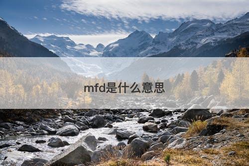 mfd是什么意思