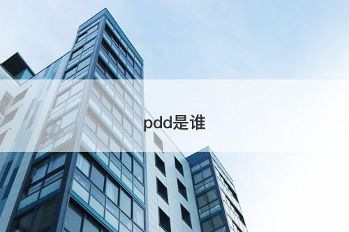 pdd是谁